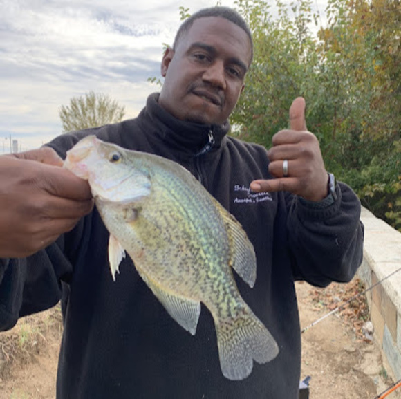 Meet your Posher, Benjamin - Picture 1 of 1